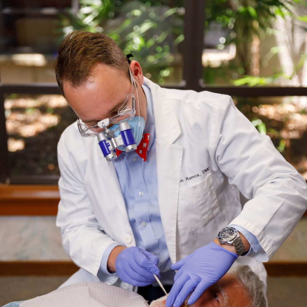Dentist in Palm Harbor Bow Tie Dentist